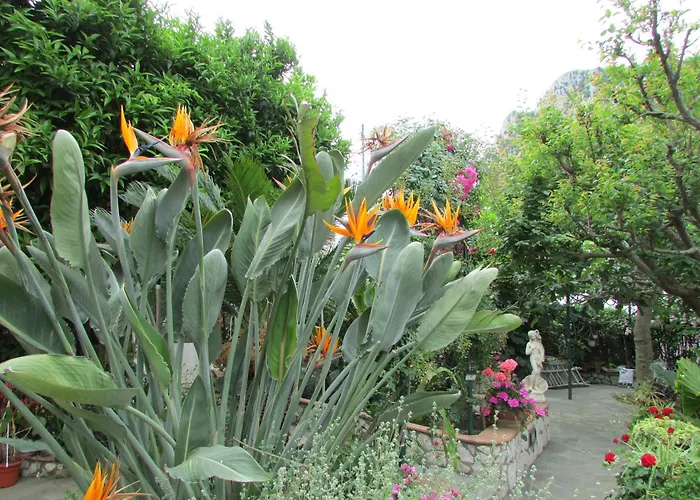 B&B Palazzo A Mare