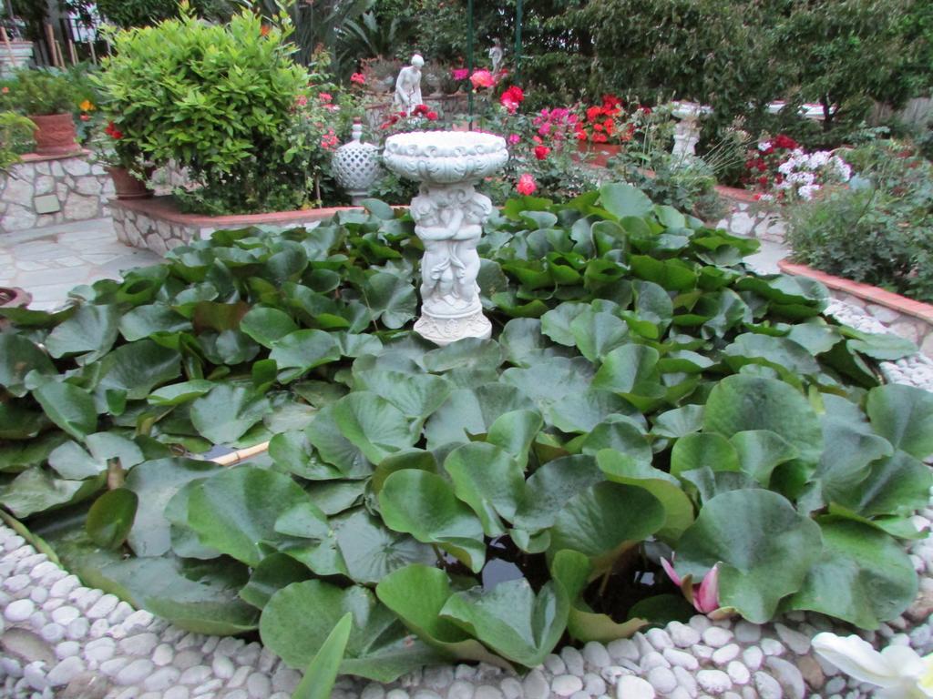 Bed & Breakfast Palazzo A Mare 2*