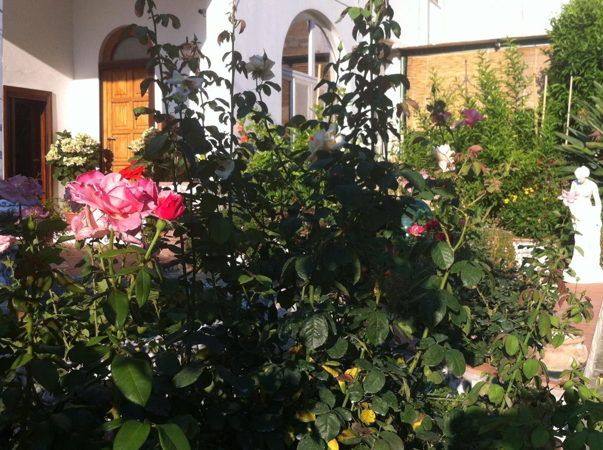 Palazzo A Mare Couette-café 2*