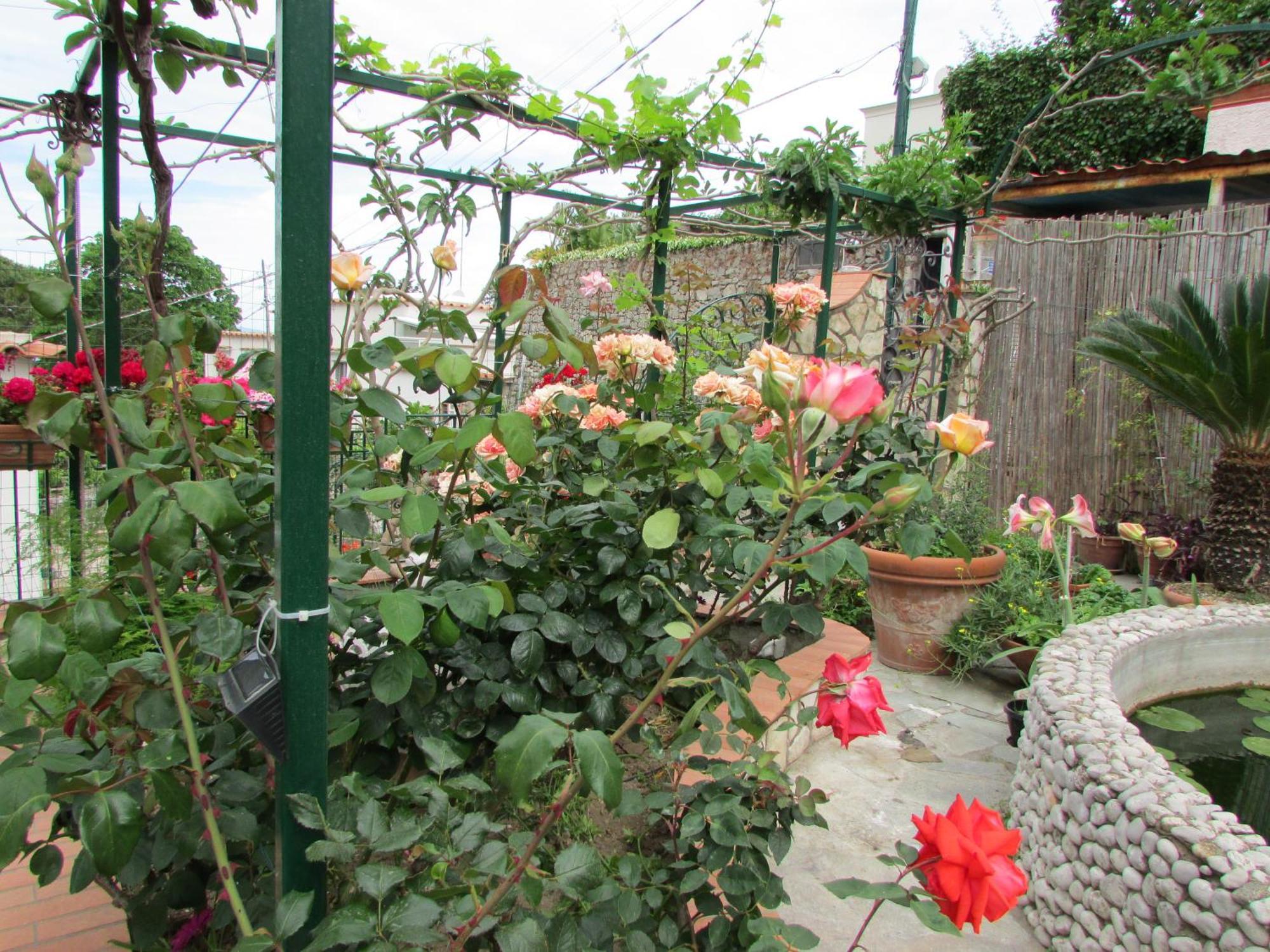 Palazzo A Mare Bed & Breakfast