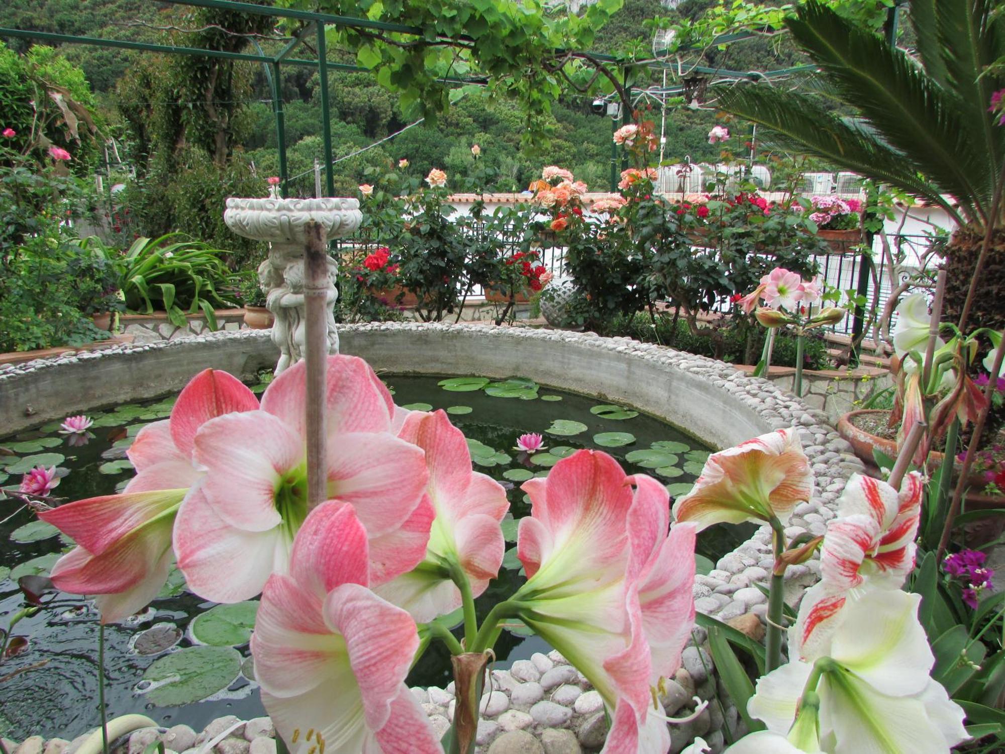 Bed & Breakfast Palazzo A Mare 2*