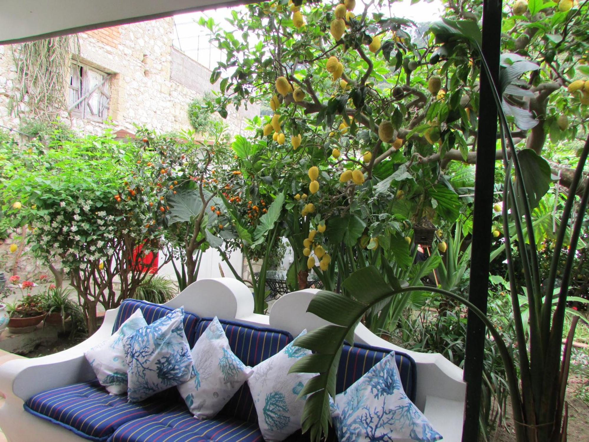 Palazzo A Mare Bed & Breakfast Capri