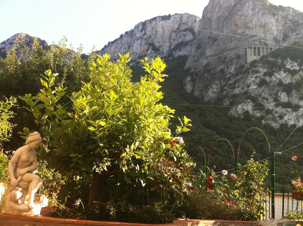 Bed & Breakfast Palazzo A Mare Capri