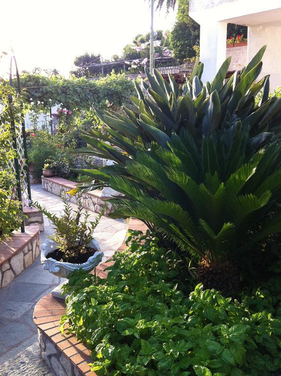 Bed & Breakfast Palazzo A Mare Capri