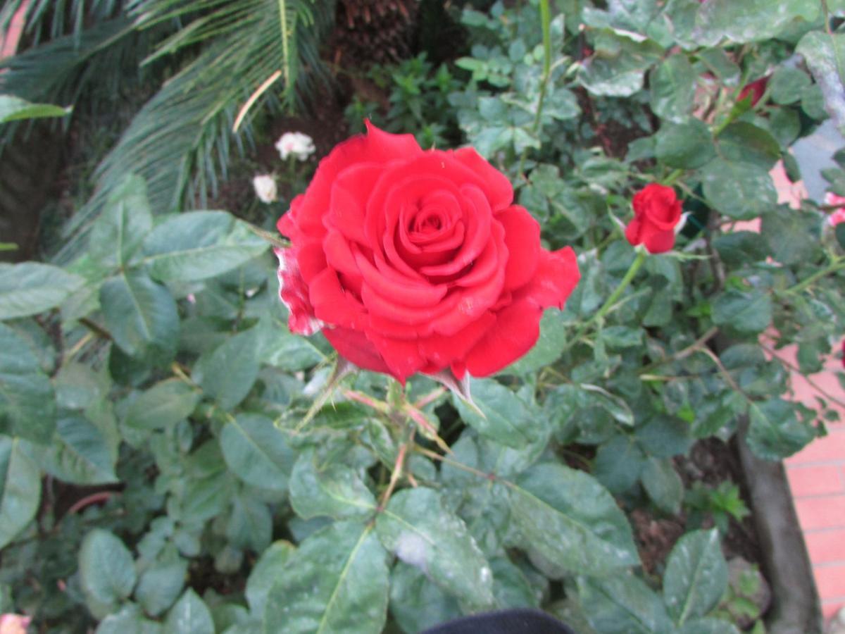 Palazzo A Mare Bed & Breakfast 2*