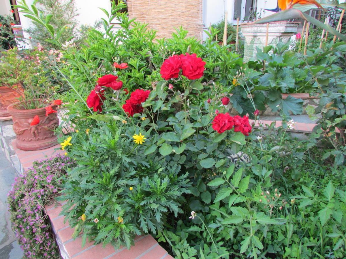 Palazzo A Mare Bed & Breakfast