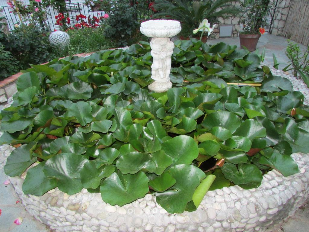 Bed & Breakfast Palazzo A Mare 2*