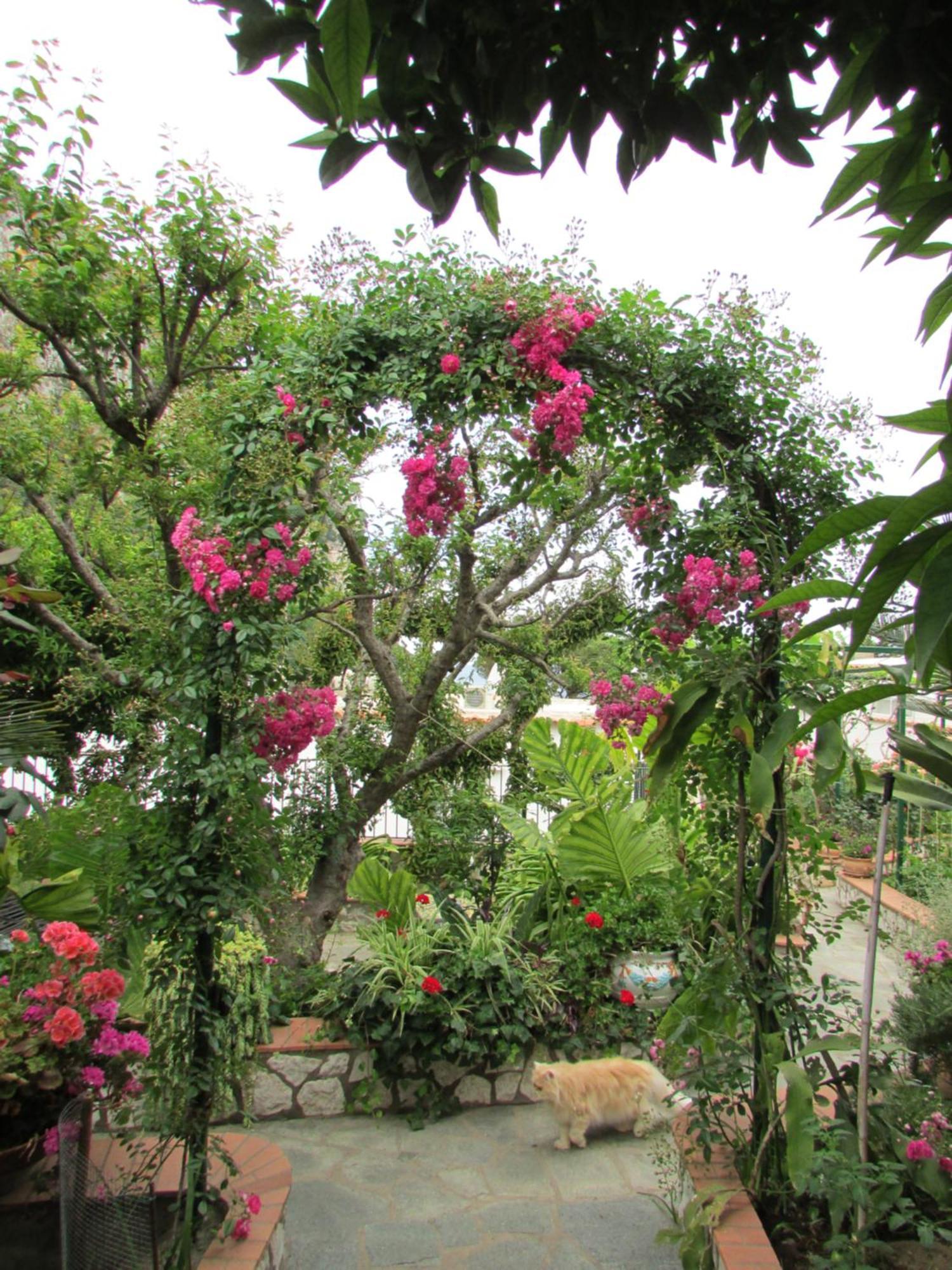 Palazzo A Mare Bed & Breakfast 2*